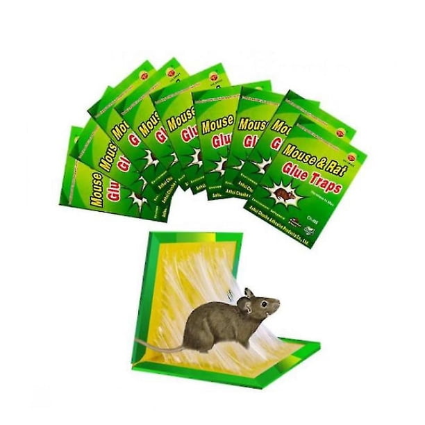 Tablero adhesivo para ratón, trampa para ratones, adherencia fuerte, trampa para ratones, paquete de 10