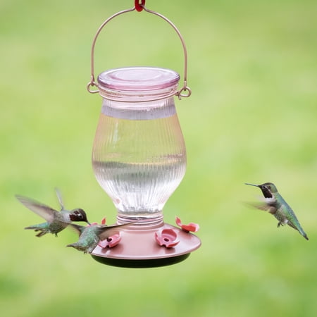 Perky Pet Rose Gold Top Fill Glass Hummingbird Feeder Walmart Com