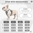 thumbnail image 4 of PayUSD Dog Harness with Leash Cat Harness No Pull Adjustable No Choke Pet Vest for Small Dogs Cats, 4 of 9