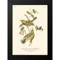 thumbnail image 2 of Audubon, John James 14x18 Black Modern Framed Museum Art Print Titled - Black-throated Green Wood Warbler, 2 of 5