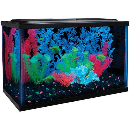 GloFish 5-Gallon Aquarium Kit with LED and Tetra Whisper