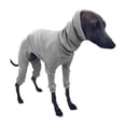 thumbnail image 1 of Guardoinrt Lightweight And Comfortable Dog Clothes Any Outdoor Adventure Easy To Clean Dog Winter Clothes M, 1 of 6