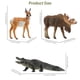 thumbnail image 3 of Toymany 12PCS North American Forest Animal Figurines, Realistic Jungle Animal Set Includes Raccoon,Lynx,Wolf,Bear,Eagle, Educational Toy Cake Toppers Christmas Birthday Gift for Kids Toddlers, 3 of 5