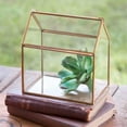 thumbnail image 1 of Small Glass House Tabletop Terraruim, 1 of 1