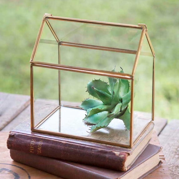 Small Glass House Tabletop Terraruim