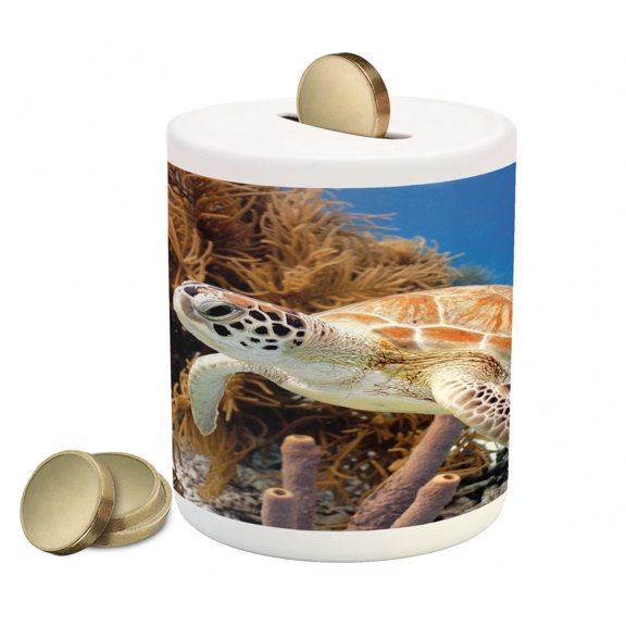 Turtle Piggy Bank, Coral Reef and Sea Turtle Close up Photo Bonaire Island Waters Maritime, Ceramic Coin Bank Money Box for Cash Saving, 3.6" X 3.2", Pale Coffee Brown Blue, by Ambesonne