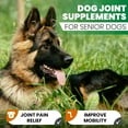 thumbnail image 6 of Turmeric and Curcumin for Dogs - 180 Count Tablet Treats – Helps Shedding, Skin Allergy, Itch and Dry Skin Relief, Hot Spots - Skin and Coat Supplement - Salmon Oil - Duck Flavor - Joint Health, 6 of 8