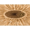 thumbnail image 1 of Ahgly Company Machine Washable Indoor Rectangle Transitional Yellow Orange Area Rugs, 5' x 8', 1 of 7