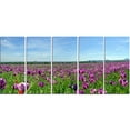 thumbnail image 2 of Purple Poppy Field Panorama - Floral Canvas Art Print, 2 of 3
