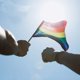 thumbnail image 4 of Whaline 60 pack Rainbow Stick Banderas, Orgullo Gay Pequeñas Mini Banderas Transgénero Asexual Bisexual Pansexual Lesbianas Banderas Lgbt Parade Decoraciones (10 Afortunado Sencillez, 4 of 5
