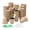 8x8 round cup with w, variant on 100lots Decomposable Nursery Containers Biodegradables Seedling Peat Pots Suitable for Various Plant Types