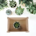 thumbnail image 4 of Luxshiny Flower Planter Rectangle Pot Wood Burnt Color 1Pack for Indoor Space, 4 of 6