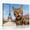 B, variant on XaaKee Canvas Wall Art Prints Bengal Cat Travel Concept Artwork Majestic Background Art Prints Inner Framed 18*12Inch