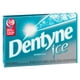 Dentyne Ice Avalanche, Gomme Sans Sucre, 1 Paquet (12 Morceaux) 12 comptes – image 4 sur 11