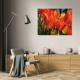 thumbnail image 3 of Alan Hausenflock 18x13 Gallery Wrapped Canvas Wall Art Titled - Tulip Field II, 3 of 4