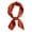 Brown, variant on Bibifish Womens Satin Square Scarf 27" Silk Like Solid Color Soft Neckerchief Trendy Handbag Handle Wrap
