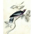 thumbnail image 3 of McCavitt, Naomi 12x14 Black Modern Framed Museum Art Print Titled - Rustic Aviary I, 3 of 5