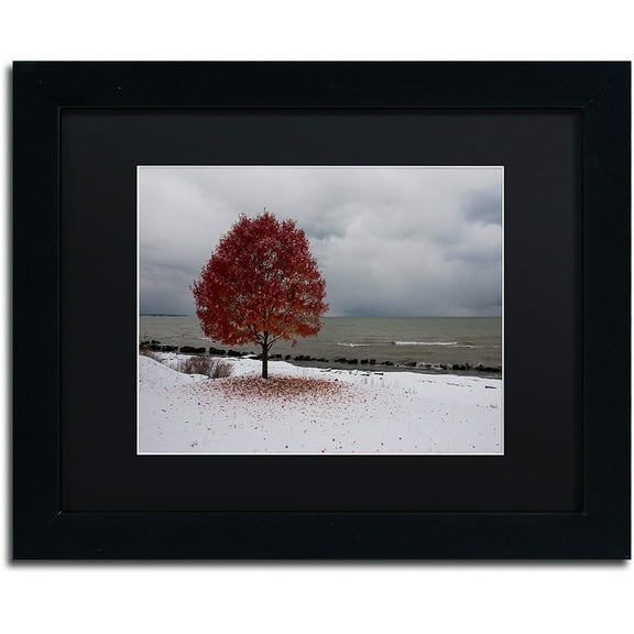 Trademark Fine Art "Autumn Contrast on the Lake" Canvas Art by Kurt Shaffer, Black Matte, Black Frame