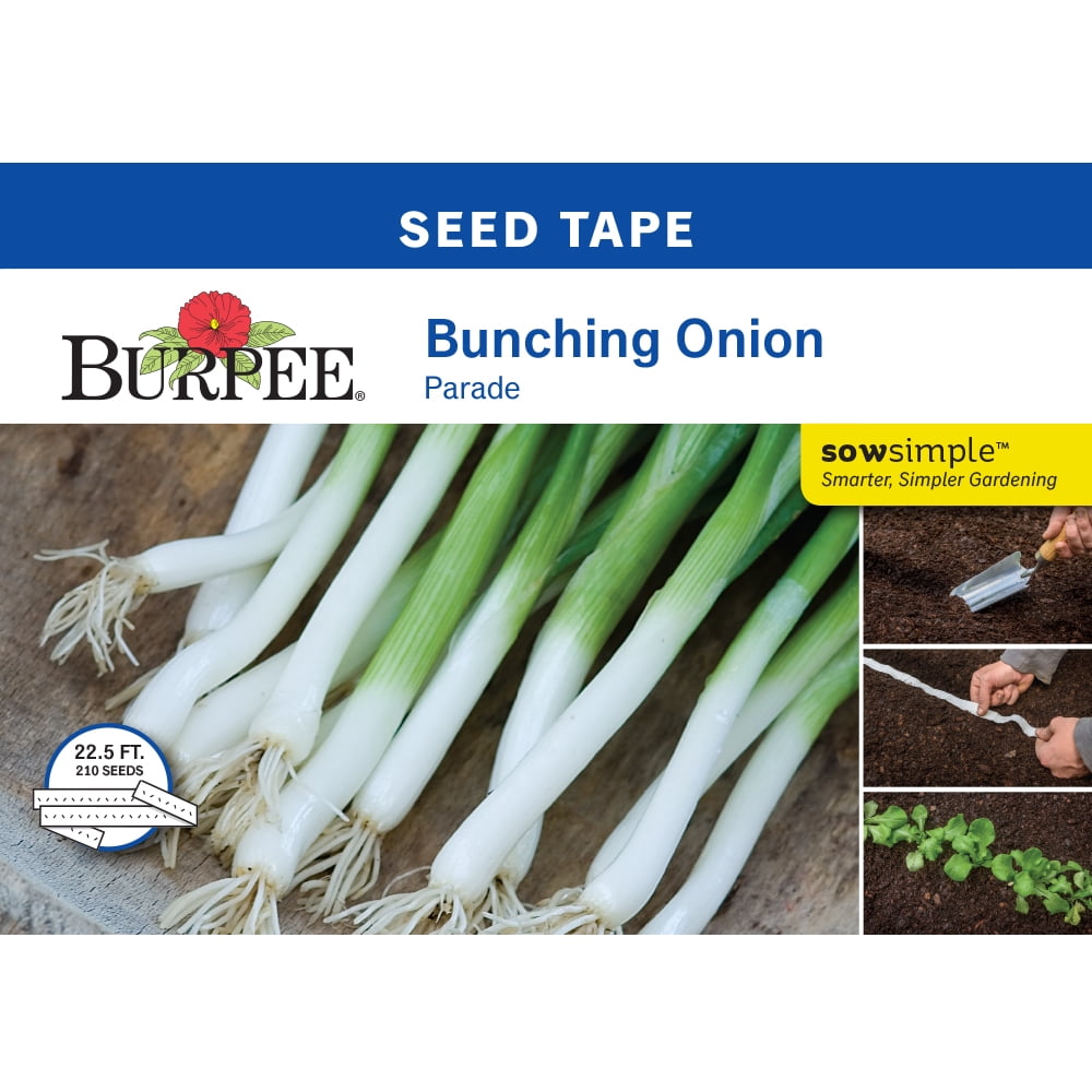 Burpee Parade Bunching Onion Vegetable Seed Tape, 1-Pack - Walmart.com