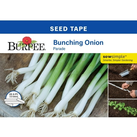 Burpee Parade Bunching Onion Vegetable Seed Tape, 1-Pack