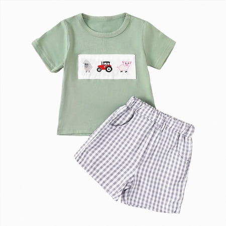Boys Summer Outfits Embroidery Short Sleeve T-Shirt and Plaid Shorts 6 12 18 Months 2T 3T Toddler Boy Clothing Sets