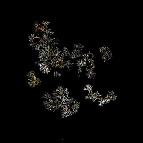 Deathcrash - Return - Music & Performance - Vinyl