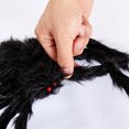 thumbnail image 3 of TheFound Halloween Spider, Spider Web Holiday Decoration Party Favors Haunted House Decor, 3 of 6