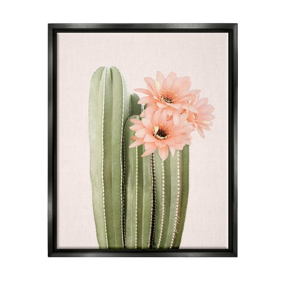 Stupell Industries Pink Flower on Cactus Botanical & Floral Painting Black Floater Framed Art Print Wall Art, 17 x 21