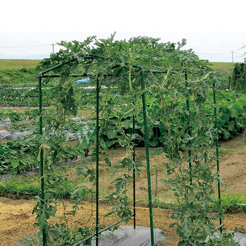 Nylon Climbing Plant Support Vine and Veggie Fruit Plant Trellis Net Convenient 