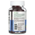 thumbnail image 2 of Lifeable Probiotic with Prebiotic Fiber Gummies, Sugar Free, Berry, 60 Gummies, 2 of 4