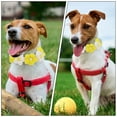 thumbnail image 4 of Collier Décoratif Délicat pour Chien Collier pour Chat Motif Fleur Collier pour Chiot, 4 of 9