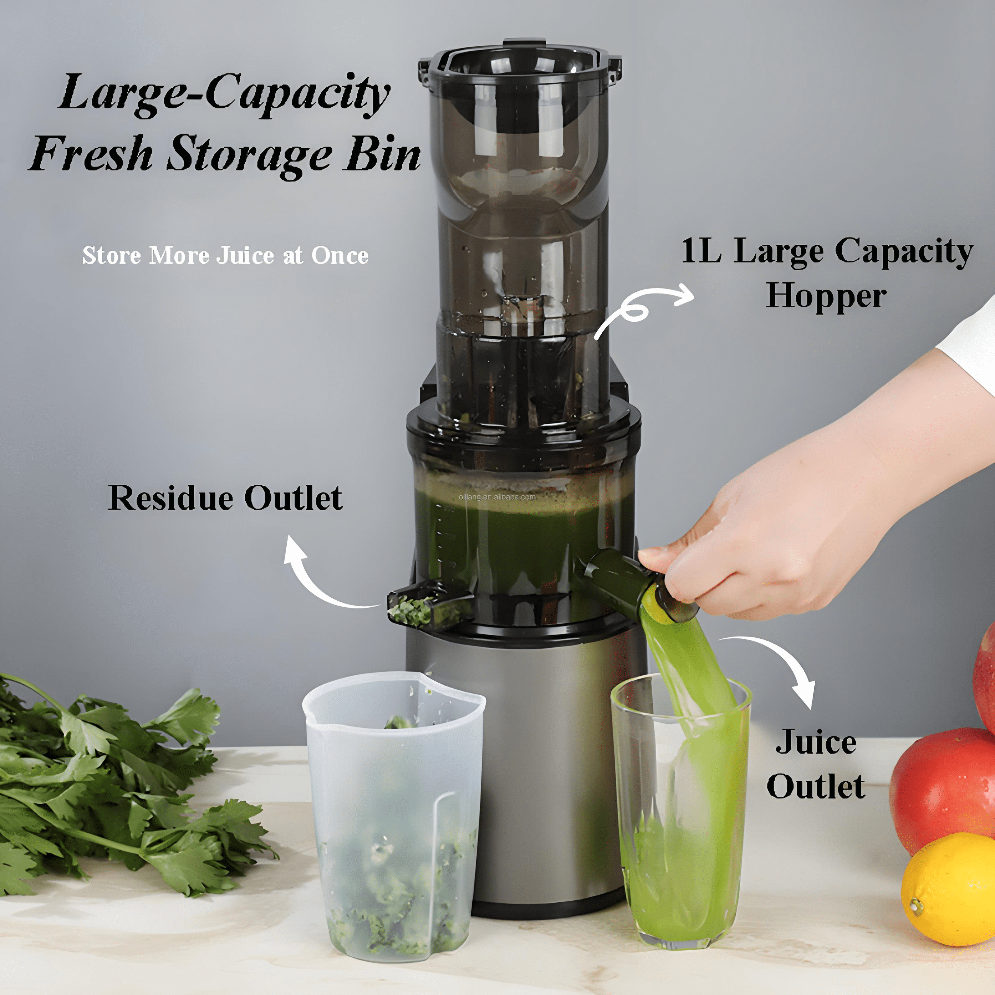 Juicer Machines with 6.3" Large Chute, 2-in-1 Cold Press Juicer for Whole Vegetables Fruits 300W, Masticating juicer Easy to Clean Juice Extractor Machine for Making Nut Mike, Juice, Premium Gray