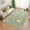 Green, variant on Area Rugs for Living Room Floral 4x6 Kitchen Rug, Machine Washable Boho Flower Carpet Ultra-Thin Soft Non Shedding Indoor Bedroom Dining Room Decor, Black