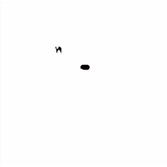 3-Piece Pastry Decorating Set