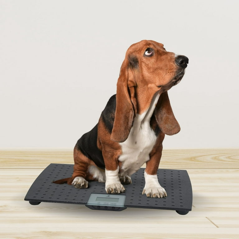 Precision Digital Pet Scales Professional Dog Groomer Vet Shelter - Choose Size (Small)