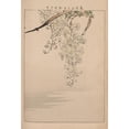 thumbnail image 2 of Kōtei Fukui 11x14 Black Ornate Wood Framed Double Matted Museum Art Print Titled: Kacho Gafu, Pl.11 (1898), 2 of 5