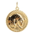 thumbnail image 4 of Reversible Pisces Zodiac Sign Charm Coin Pendant Necklace in Solid Gold (20 Inches), 4 of 4