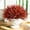 Wine red, variant on Yastouay Artificial Plants Outdoor,12 Bundles Fake Bushes Summer Plants UV Resistant for Garden,Front Porch（Red Green）