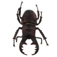 thumbnail image 4 of Paquete de 3 modelos de plástico, modelo de simulado, juguete educativo de ciencia para mayores de 3 años, regalo de cumpleaños para niñ Baoblaze Figuras de insectos realistas, 4 of 8