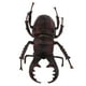 thumbnail image 4 of 2 piezas modelo de de para accesorios de biología animal de juguete de para niños, 4 of 8