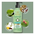 thumbnail image 3 of Acondicionador Blends Botanicare Hidratacion anti frizz 350 ml, 3 of 4
