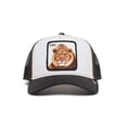 thumbnail image 2 of Gorra Goorin Bros LEON 1010388BLK Negro Unitalla, 2 of 5