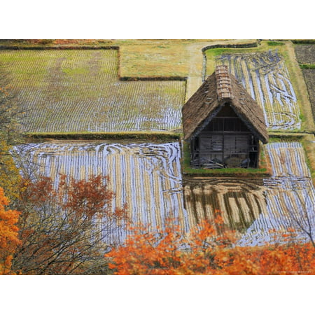 Farm Outbuilding Surrounded by Ploughed Rice Fields Close to Gokayama Print Wall Art By Michael