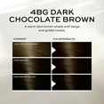 John Frieda Brown Permanent Precision Hair color Foam Hair Color Kit, Brown Hair Dye, 4BG Dark