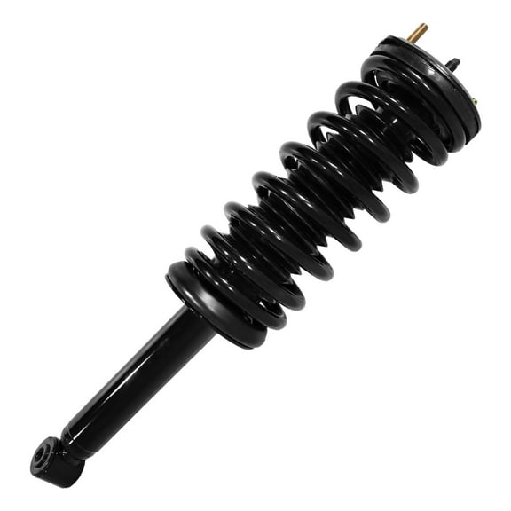 Rear Complete Strut Assembly for 1995-1999 Nissan Maxima, 1996-1999 Infinity I30