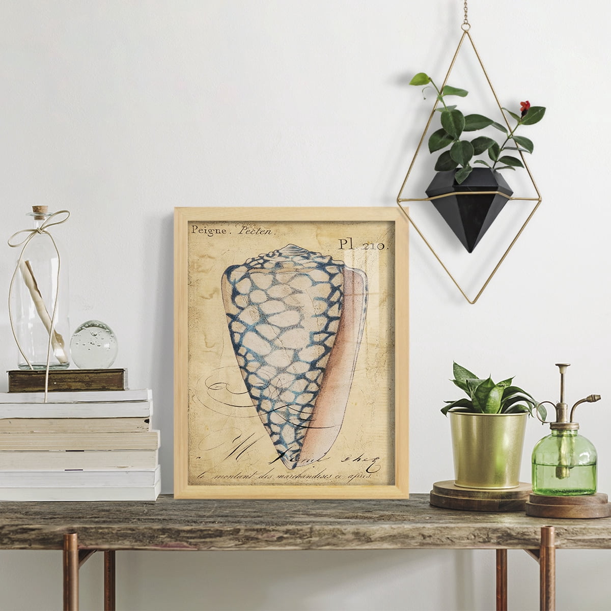 Seashell Ephemera IV - Framed Print w/glass - Natural Wood