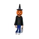 thumbnail image 2 of Halloween 3 -6 -Toony Terrors  Trick or Treaters 3 pack NECA NECA Neca 3 pack, 2 of 4