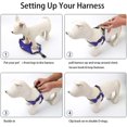 thumbnail image 3 of Dog Harness Soft Suede Fabric Pet Vest Step In Adjustable Reflective _jiue, 3 of 5