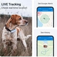 thumbnail image 2 of Tractive GPS Pet Tracker for Dogs - Waterproof, GPS Location & Smart Activity Tracker, Unlimited Range, Works with Any Collar (White), 2 of 8