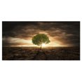 thumbnail image 2 of Design Art - Arbre Solitaire sous Ciel Dramatique, 2 of 4
